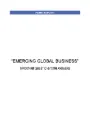 EMERGING GLOBAL BUSINESS (BEC_IB_M3_EGB)